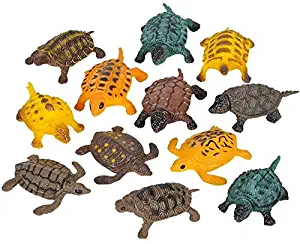 Rhode Island Novelty Turtles (Approximately 1.5 Inch-2 Inch Long - Size Vaes), 12PK