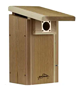 Kettle Moraine Cedar Super Eastern Bluebird House with Side Opening Viewing Window