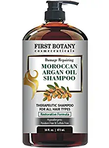 Moroccan Argan Oil Shampoo with Restorative Formula 16 fl. oz. Gentle & Sulfate Free for All Hair Types. Cleanses, Revives, Hydrates, Detangles Hair & Revitalizes the Scalp & Split-Ends