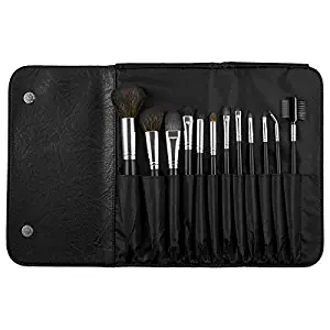 Coastal Scents 12 Piece Brush Set (BR-SET-015)