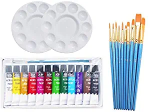 SKKSTATIONERY 24 Pack Acrylic Paint Set, 10 Paint Brushes & 2 Palette & 12 Colors Acrylic Paint.