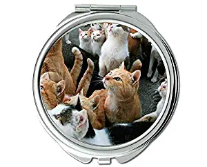 Compact Mirror Round Compact Mirror Double-sided,Close mirror for Men/Women,1 X 2X Magnifying