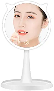 Makeup Mirror 10X Magnification LED Portable Vanity Mirror with Detachable Mirror Touch Screen Dimming Rotation USB Power 45 Degrees Free Rotation Fauay