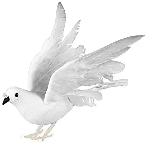 white dove. size 10''