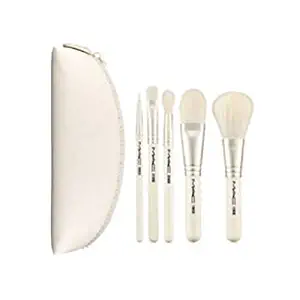 MAC Keepsakes /MAC Studio BRUSH Kit - Holiday 2014 Collection