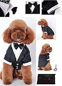 Formal Wedding Black Tails Tuxedo Jacket with Attached Shirt Comes with Bow Tie and Themed Accessory –for Dogs - Sizes XS to 2XL