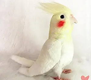 JiangYY Cockatiel Parrot Bird Plush Stuffed Animal Toy Yellow Bird Cute