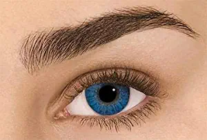 Women's Multi-color Cute Charm Attractive Color Makeup Eye Shadow (blue)