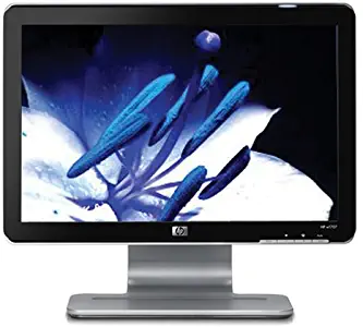 HP W1707 17-inch LCD Monitor