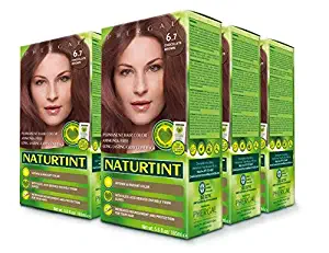 Naturtint Permanent Hair Color 6.7 Chocolate Brown (Pack of 6), Ammonia Free, Vegan, Cruelty Free, up to 100% Gray Coverage, Long Lasting Results