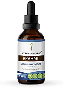 Brahmi Tincture Alcohol-Free Extract, Organic Brahmi (Bacopa Monnieri) 2 oz