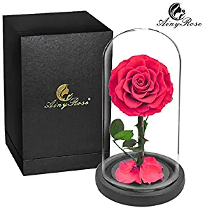 SW Glass Rose -Preserved Real Rose in Glass Dome Gift Eternal Flower,Beautiful Creative Gift for Valentine's Day Mother's Day Christmas Anniversary Birthday Thanksgiving (red)