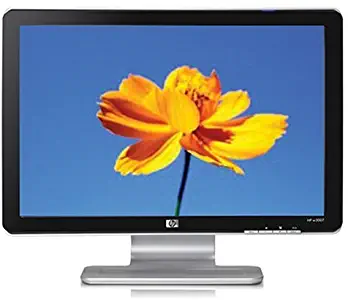 HP W2007 20-inch Widescreen Flat Panel LCD Monitor