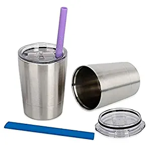 Housavvy Stainless Steel Sippy Cup with Lid and Straw, 8.5 OZ, Set of 2