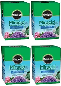 Miracle Gro 1750011 Miracid, 1 LB, 30-10-10 Water Soluble Acid Loving Plant Food - Quantity 4